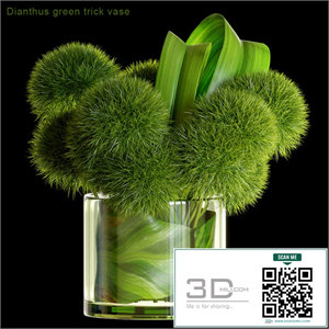 Dianthus green trick vase