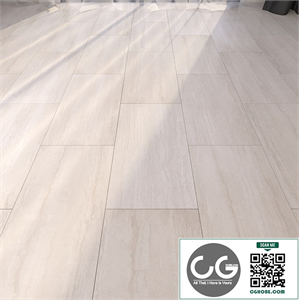 Marble Floor 238