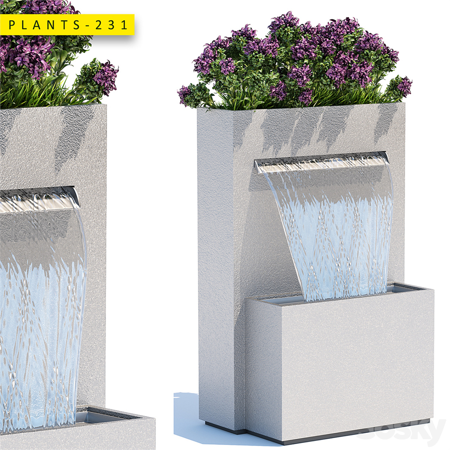 plants 231