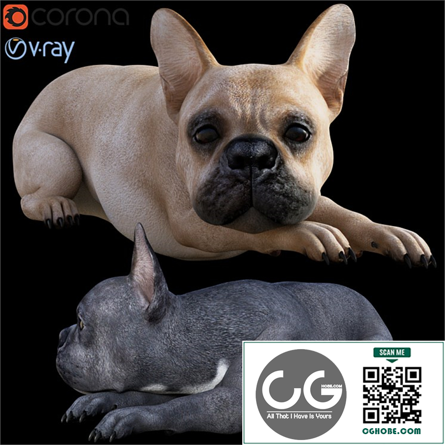 Dog_Bull