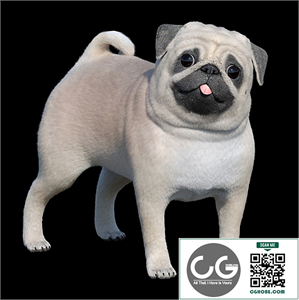 Pug / Pug