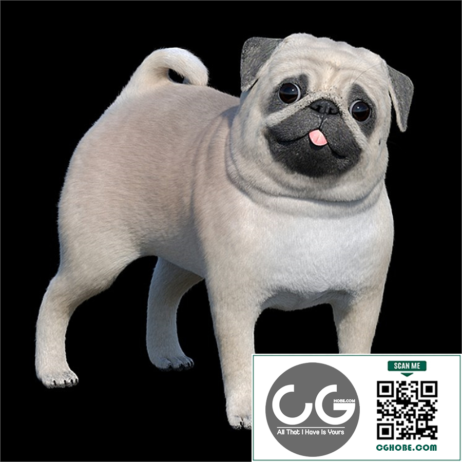 Pug / Pug