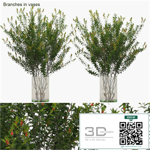 Branches in vases: Dragon Lady