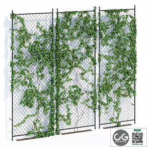 Ivy wall