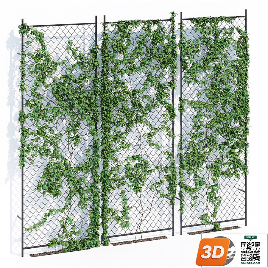 Ivy wall