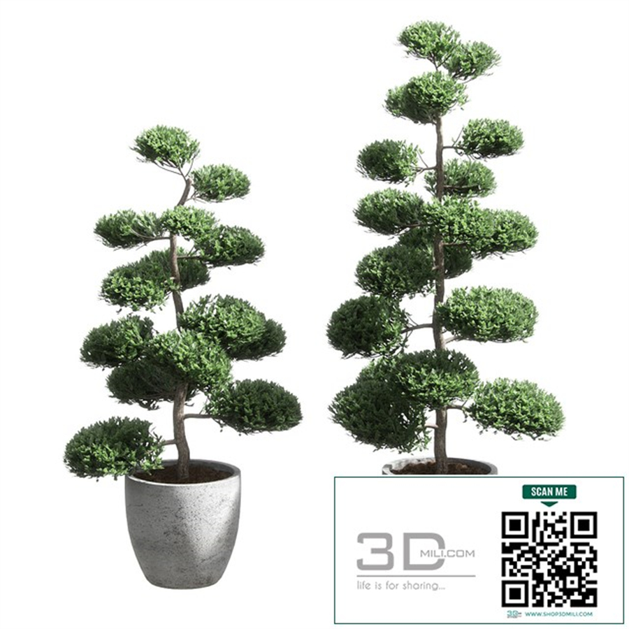 Bonsai with spherical branches. 2 models