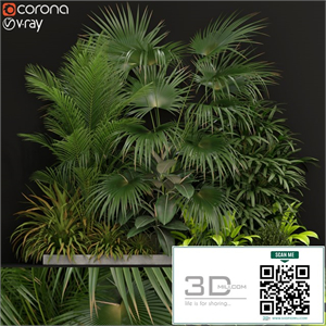 Plants collection 197