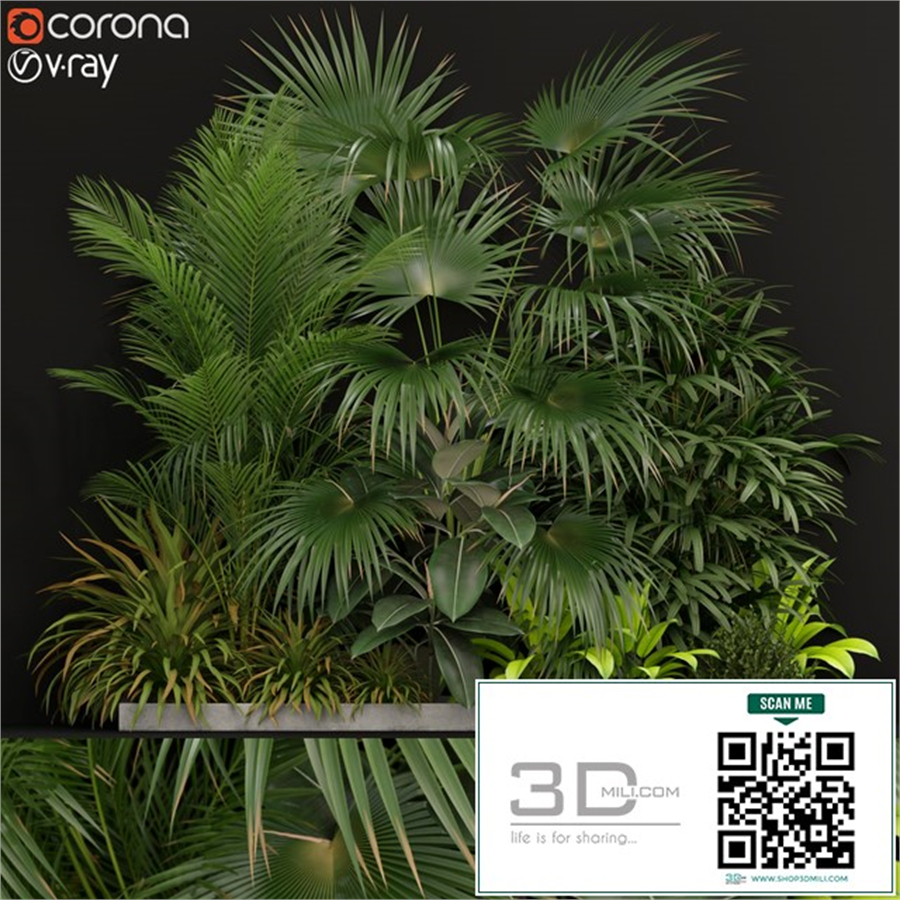 Plants collection 197