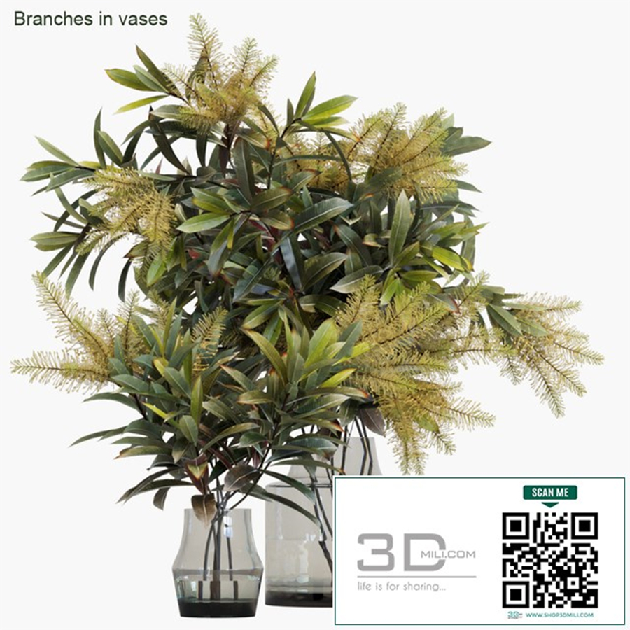 Branches in vases # 10