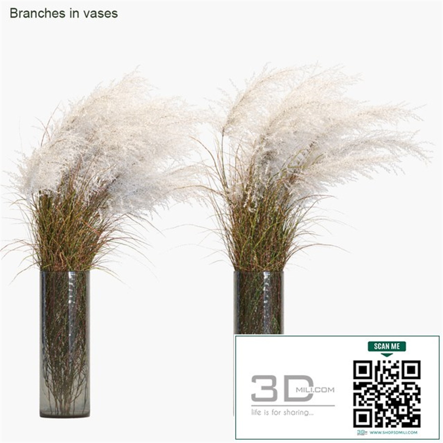 Branches in vases # 21