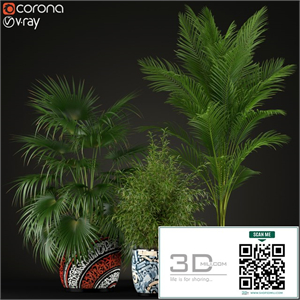 Plants collection 199