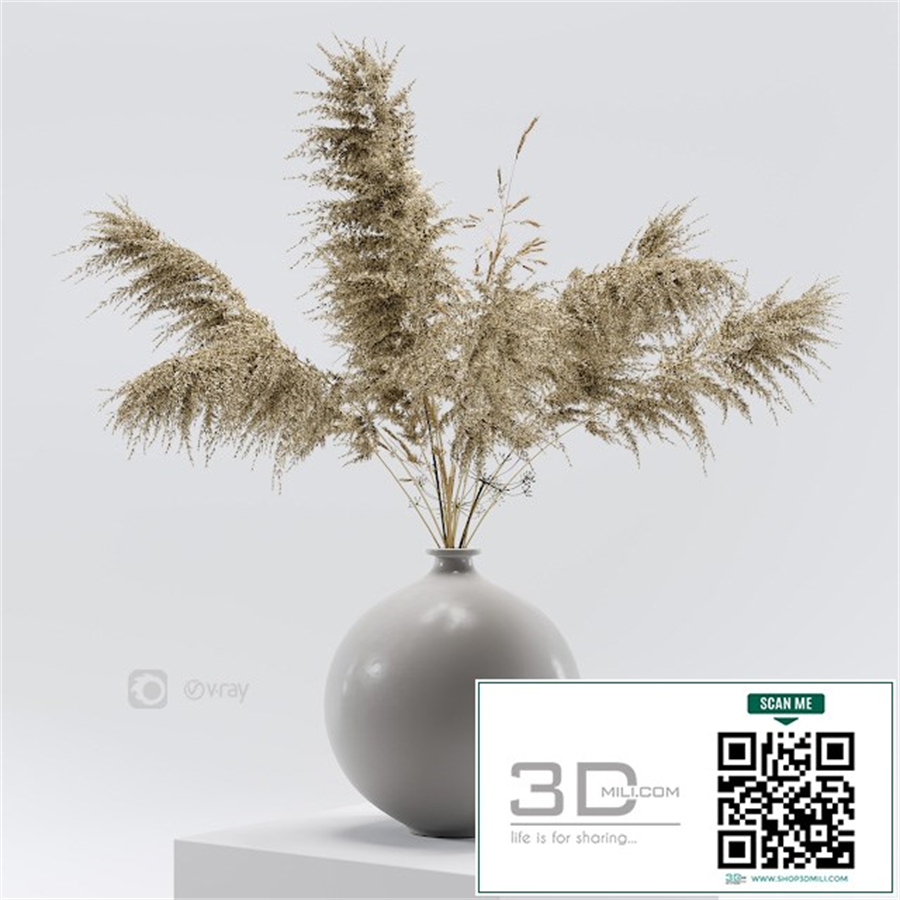 Vase with dried flowers 0001