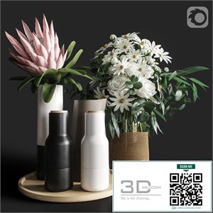 Flower Set 003 Protea and Roses