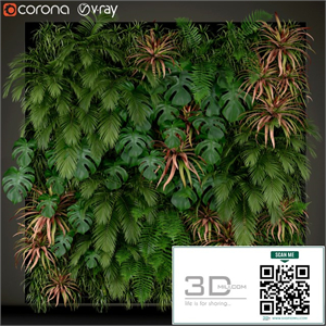 Plants collection 200