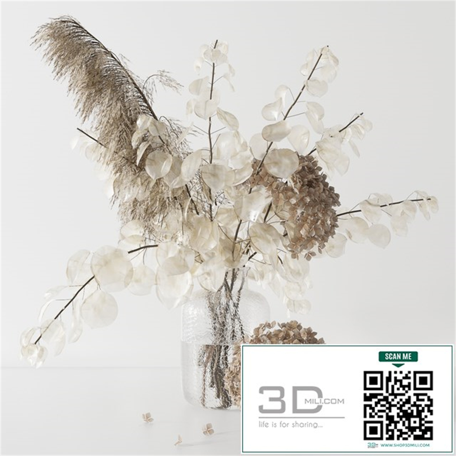 Bouquet with lunaria, pampas grass and hydragea