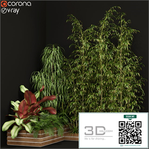 Plants collection 201