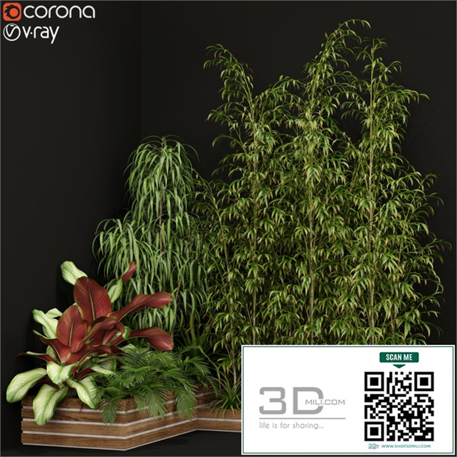 Plants collection 201