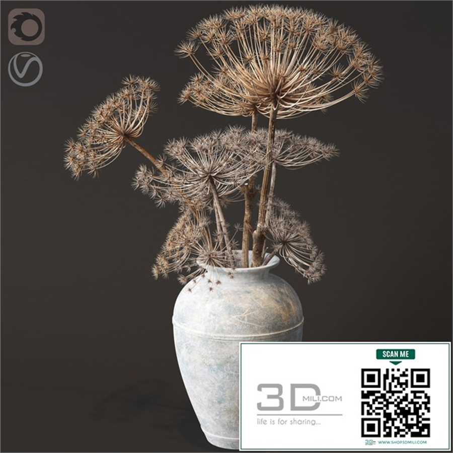 Floor vase with dry hogweed