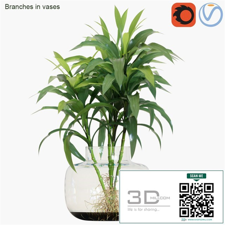 Branches in vases # 24
