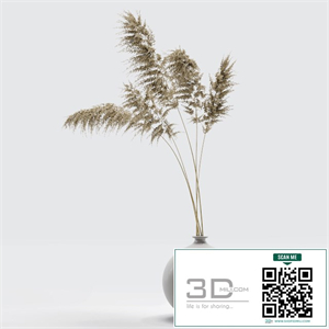 Vase with dried flowers 0002