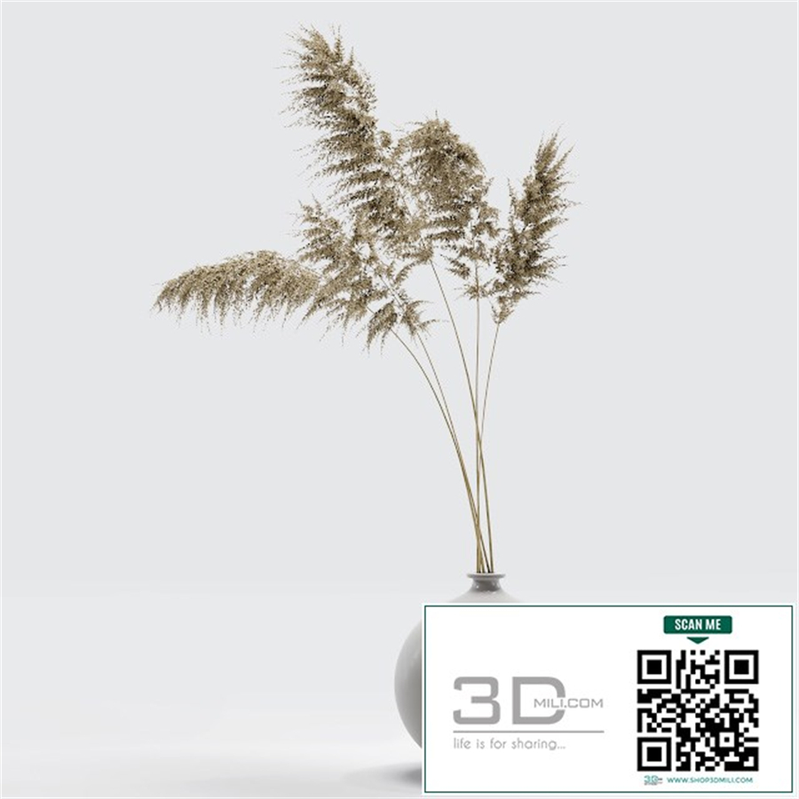 Vase with dried flowers 0002