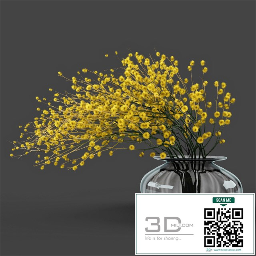 Vase acacia