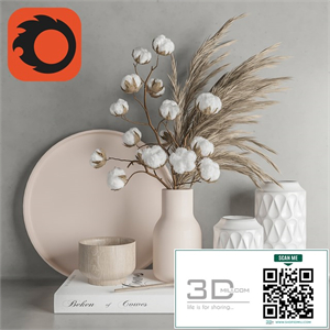 Decoration Set 22 Cotton and Vase.