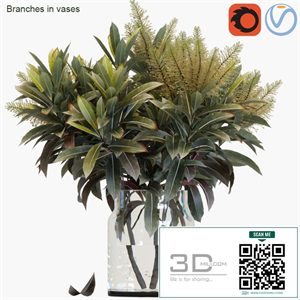 Branches in vases 25