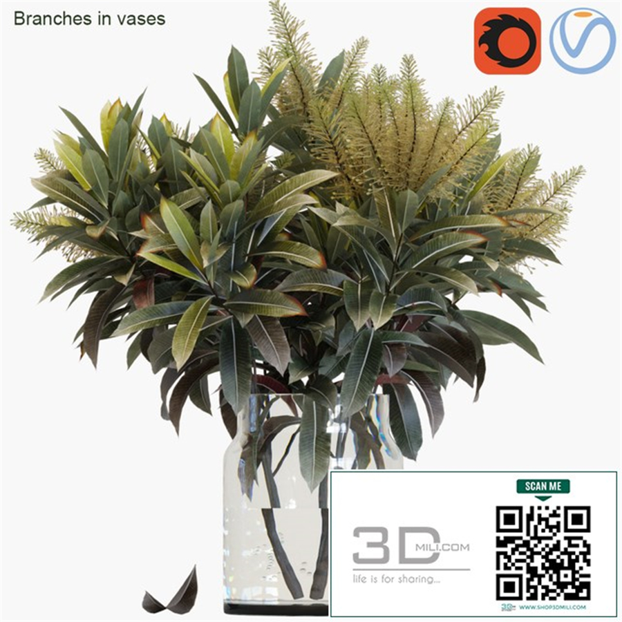 Branches in vases 25