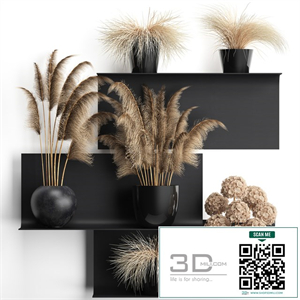 A collection of bouquets of dried flowers in vases on a black metal shelf with pampas, dry hydrangea, Cortaderia. Set 90.