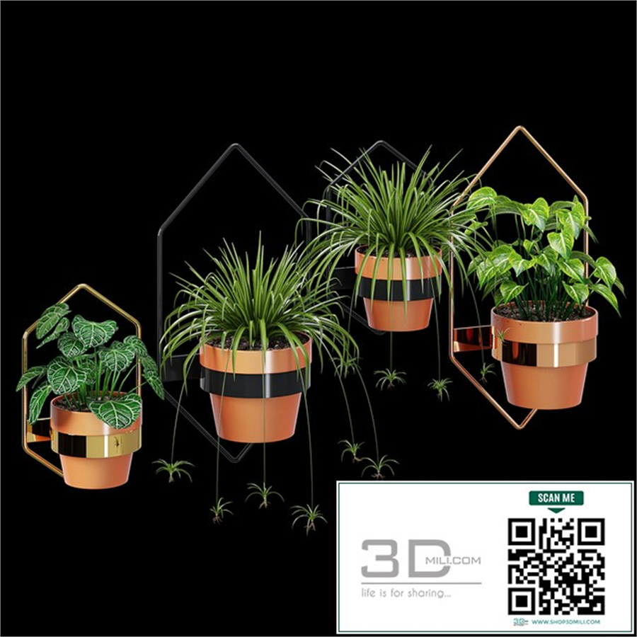 Wall planters hexagon