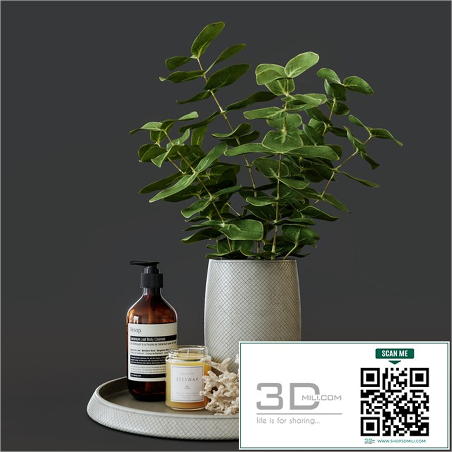 Decorative set