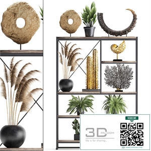 Decorative set 14. Decor shelf, tusk, pampas grass, dried flower, coral, cactus, fern, rack, loft decor