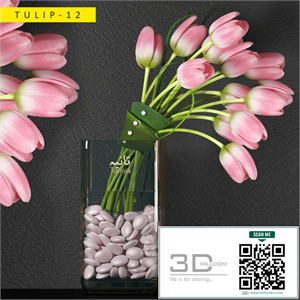 plants 12