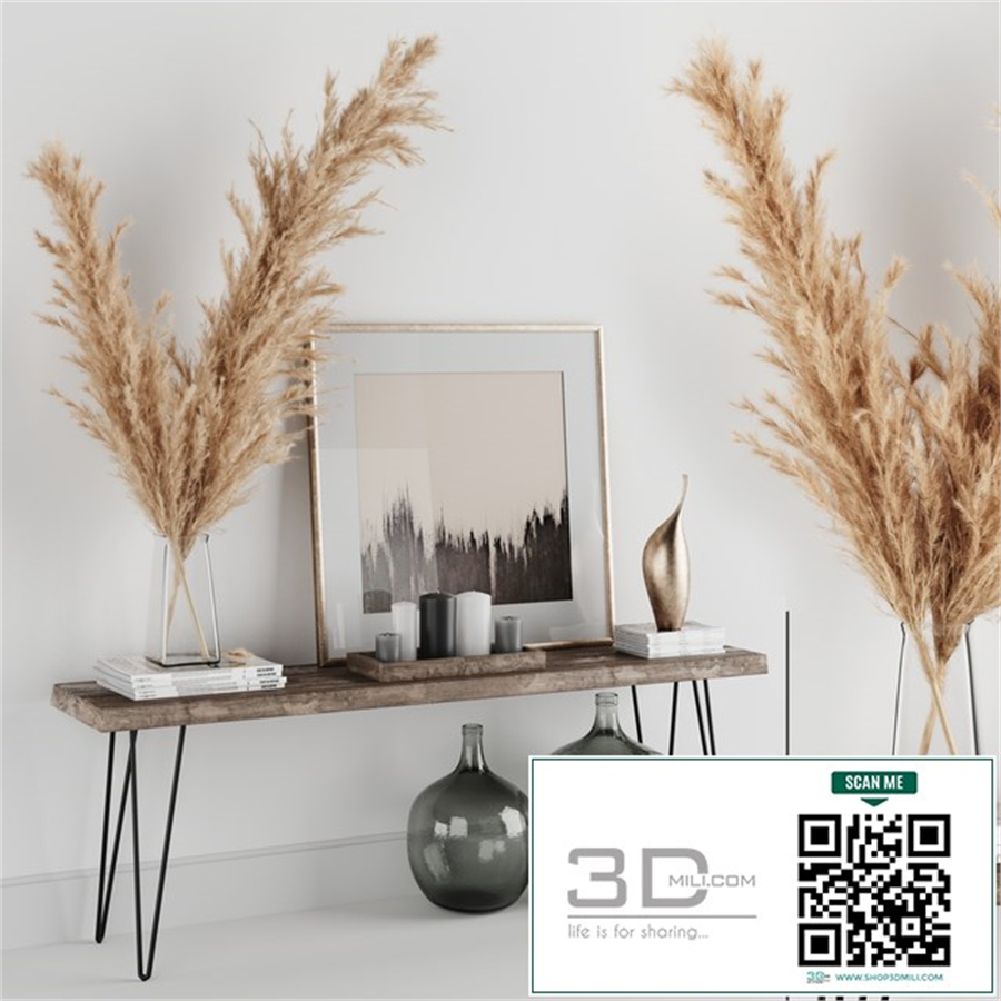 Decoration Set 01 pampas & Console