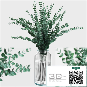 Bouquet of eucalyptus branches