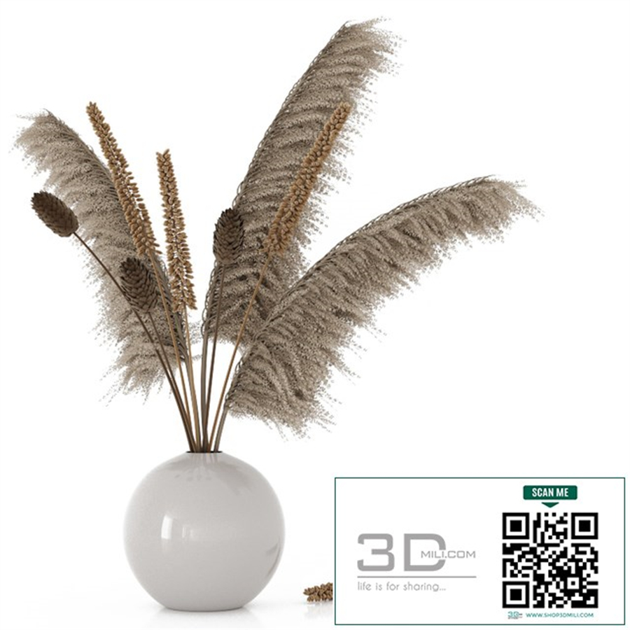 Bouquet with pampas grass and dry plants