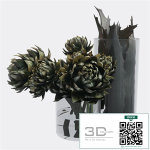 Plant set composed of artichokes and aloe vera
