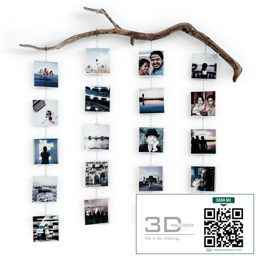 Photo branch
