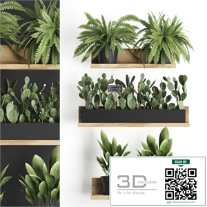 Collection of small plants wooden shelf with flowers in pots with cactus, fern bush, prickly pear. Set 398.