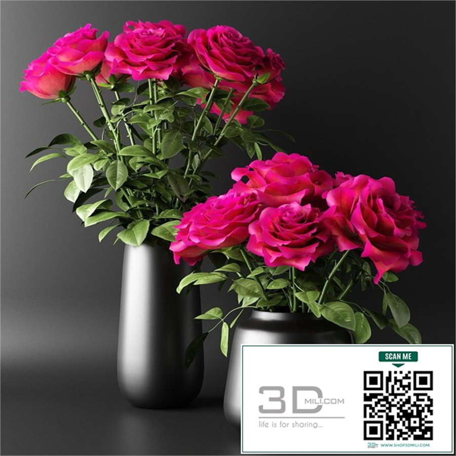 Bouquet