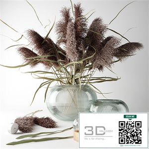 Bouquet of dry grass in a glass vase