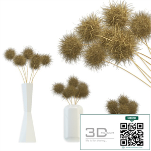 Bouquet of dried round flowers