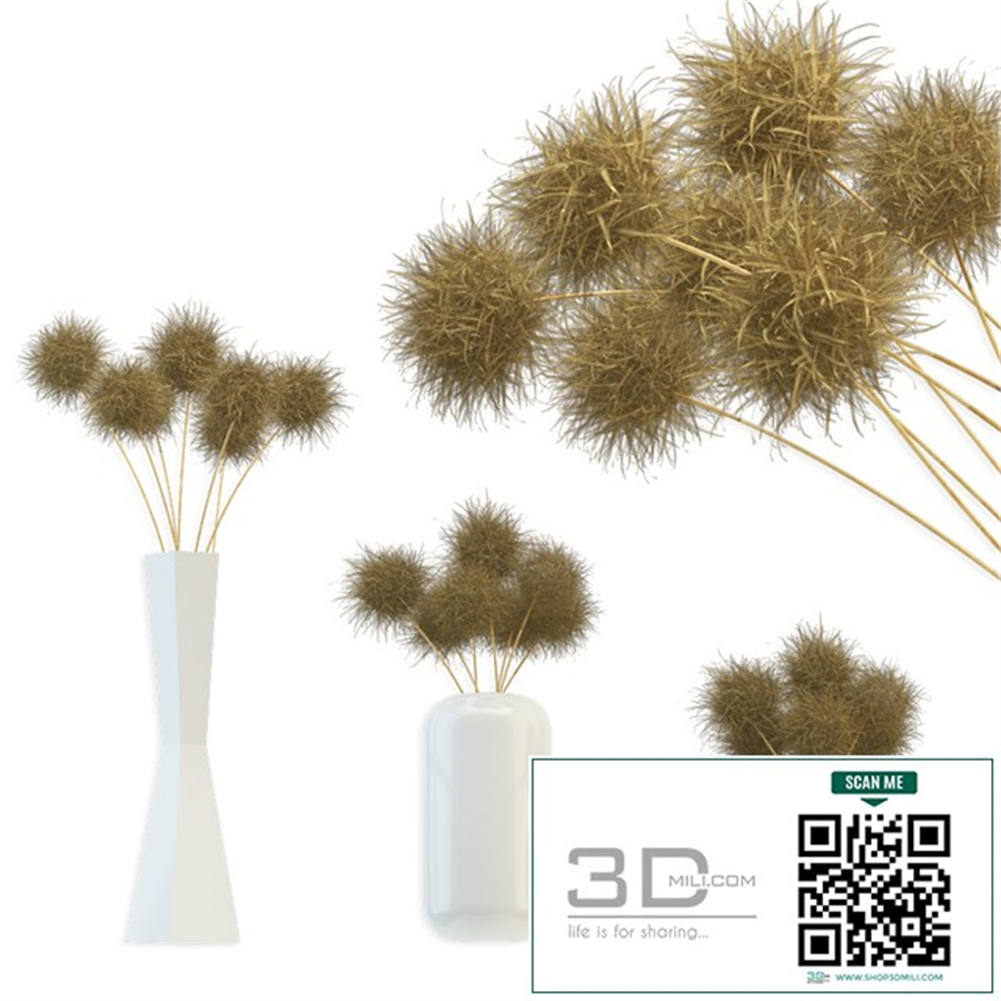 Bouquet of dried round flowers