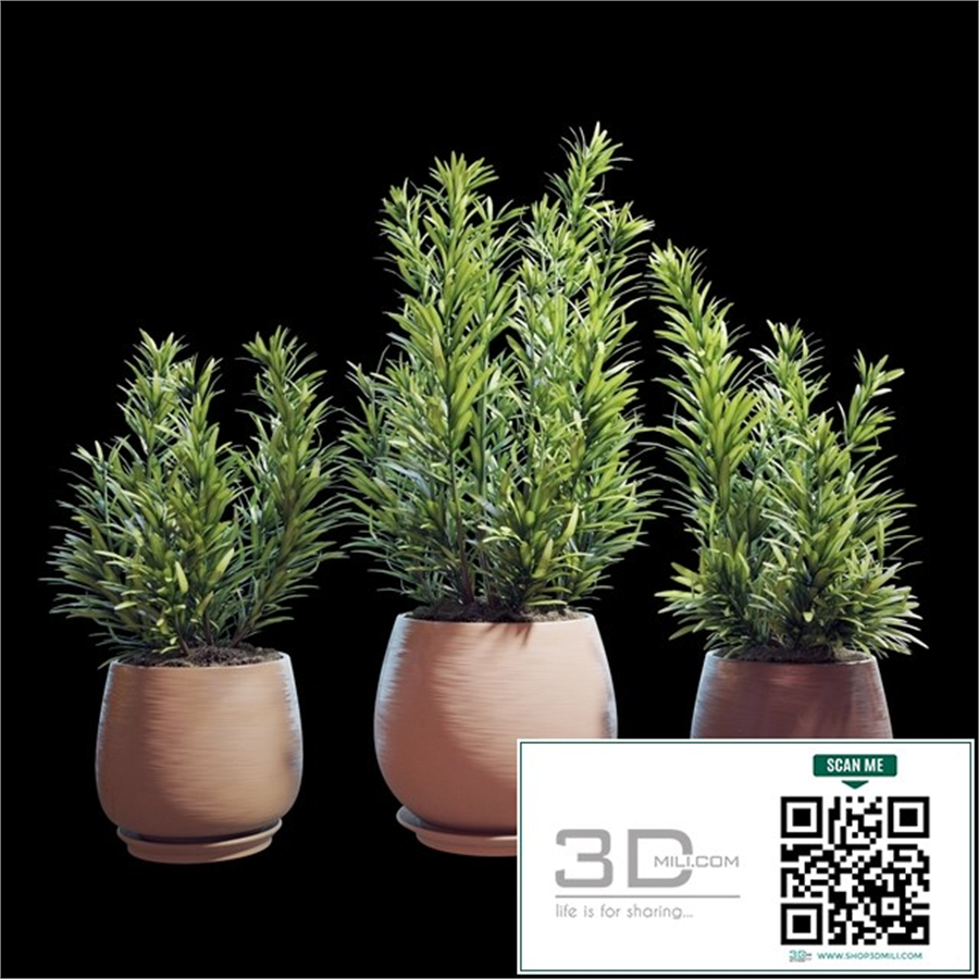 Plant set 07