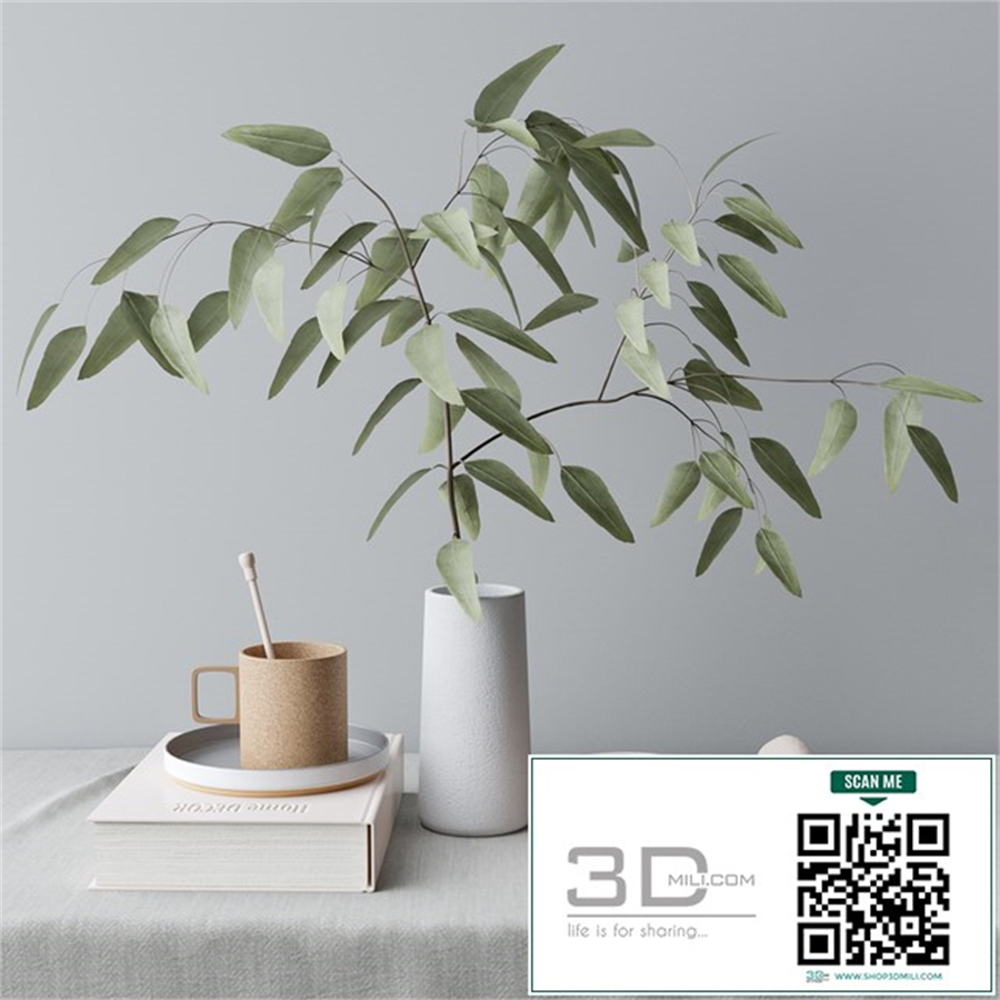 decorative set with eucalyptus branch
