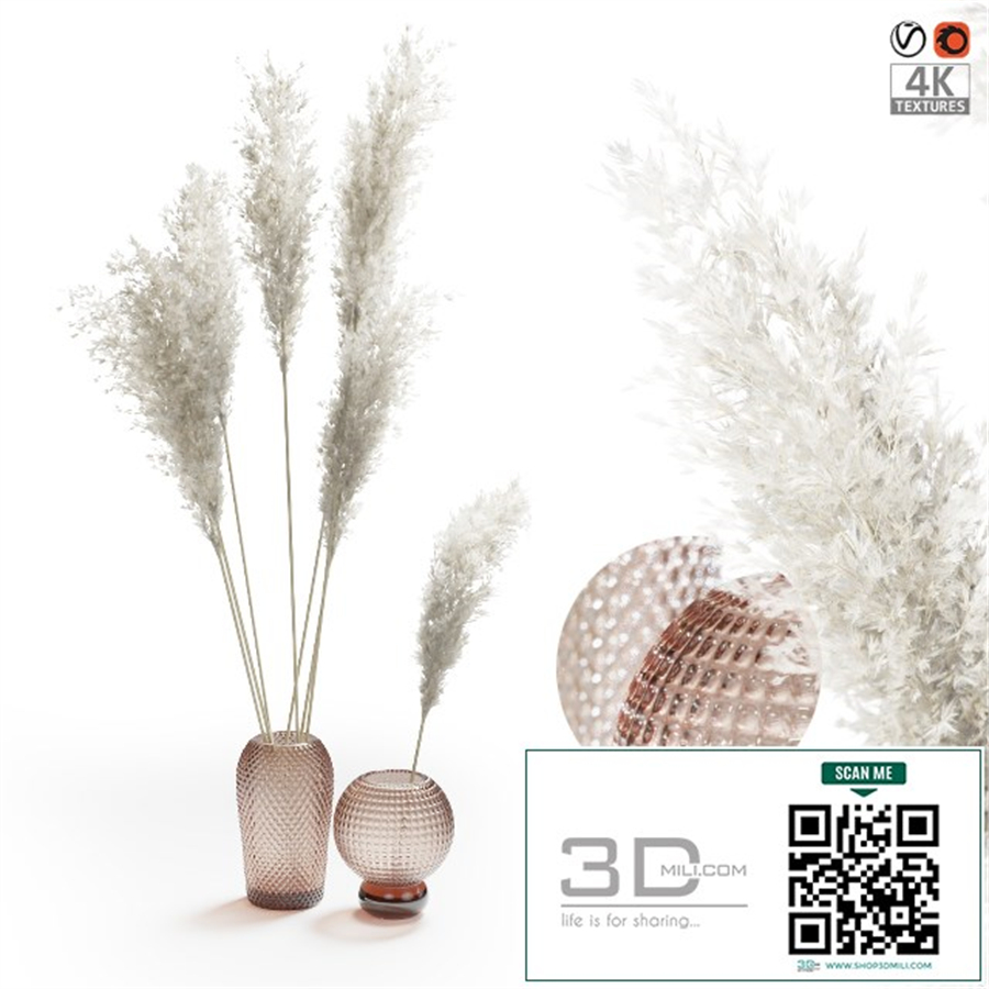Pampas grass bouquet