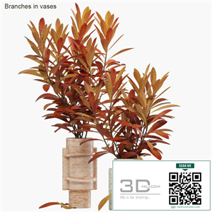 Branches in vases 27: Autumn flame