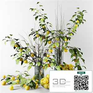 Bouquet of Chinese apple tree branches with yellow apples