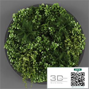 Vertical garden 07